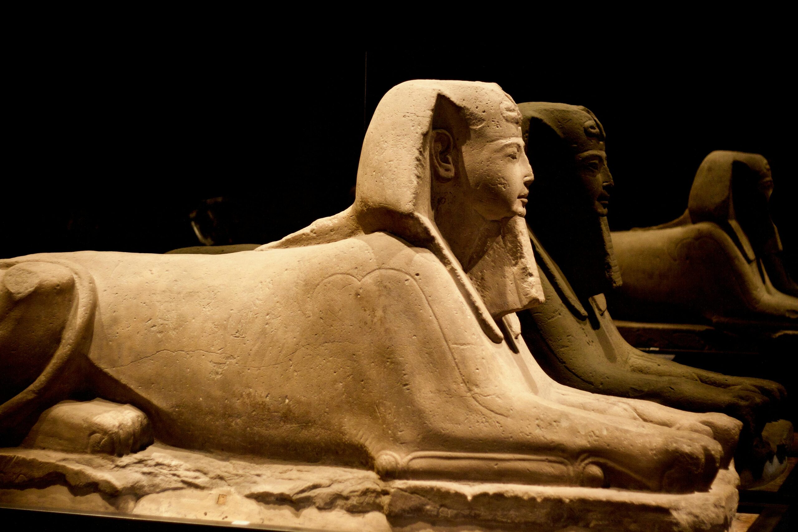 Ancient Egyptian sphinx sculptures displayed in a darkened museum gallery