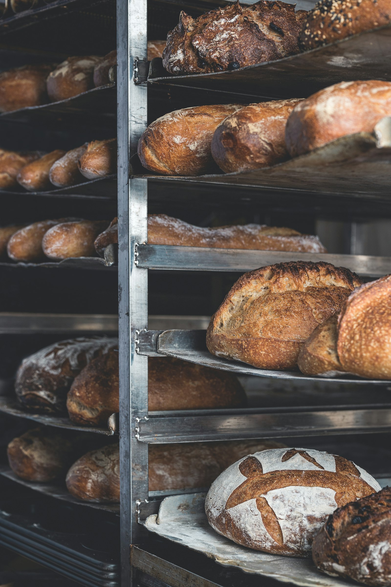 Fresh bread loaves cooling on a rack inside a bakery