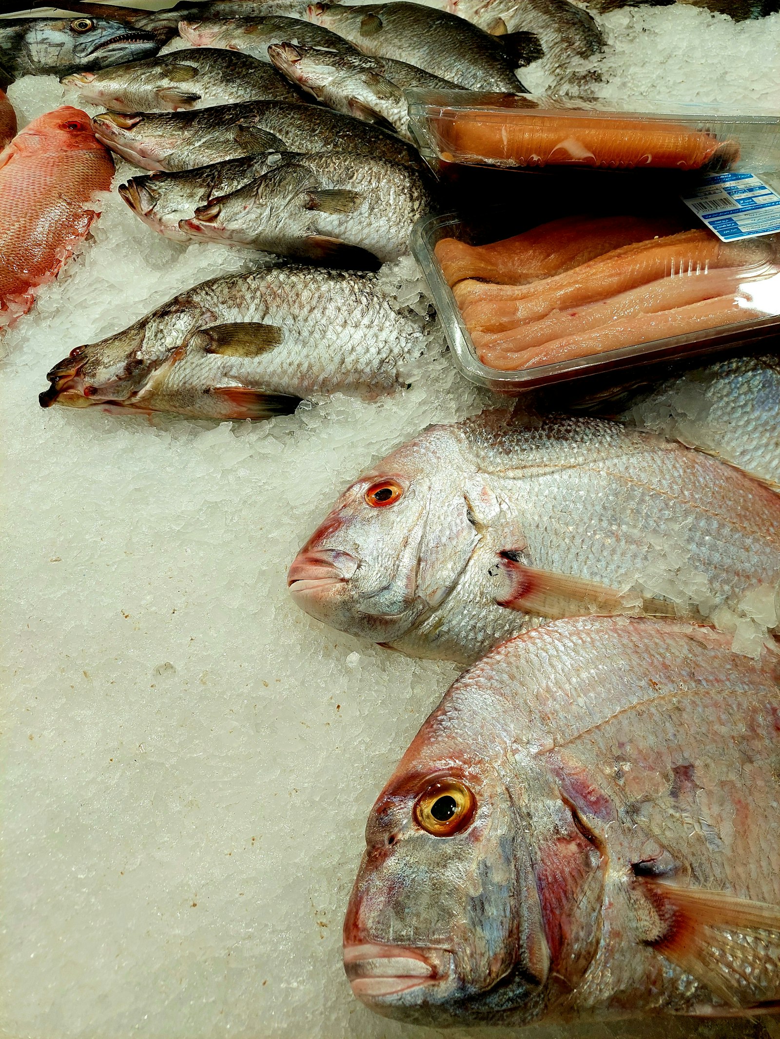 Fresh whole fish displayed on crushed ice at a seafood counter