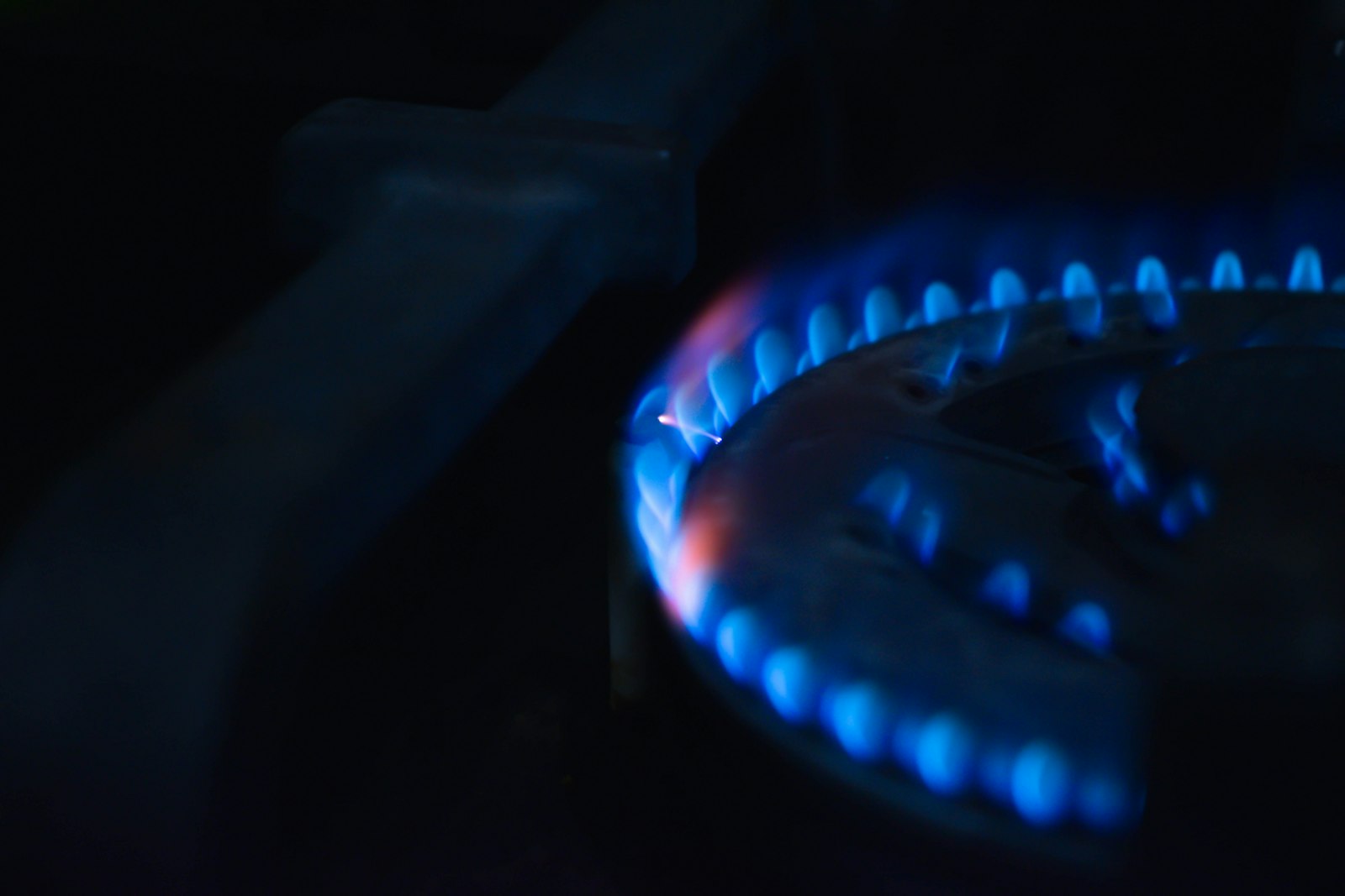 Close-up of a steady blue flame burning on a gas hob ring