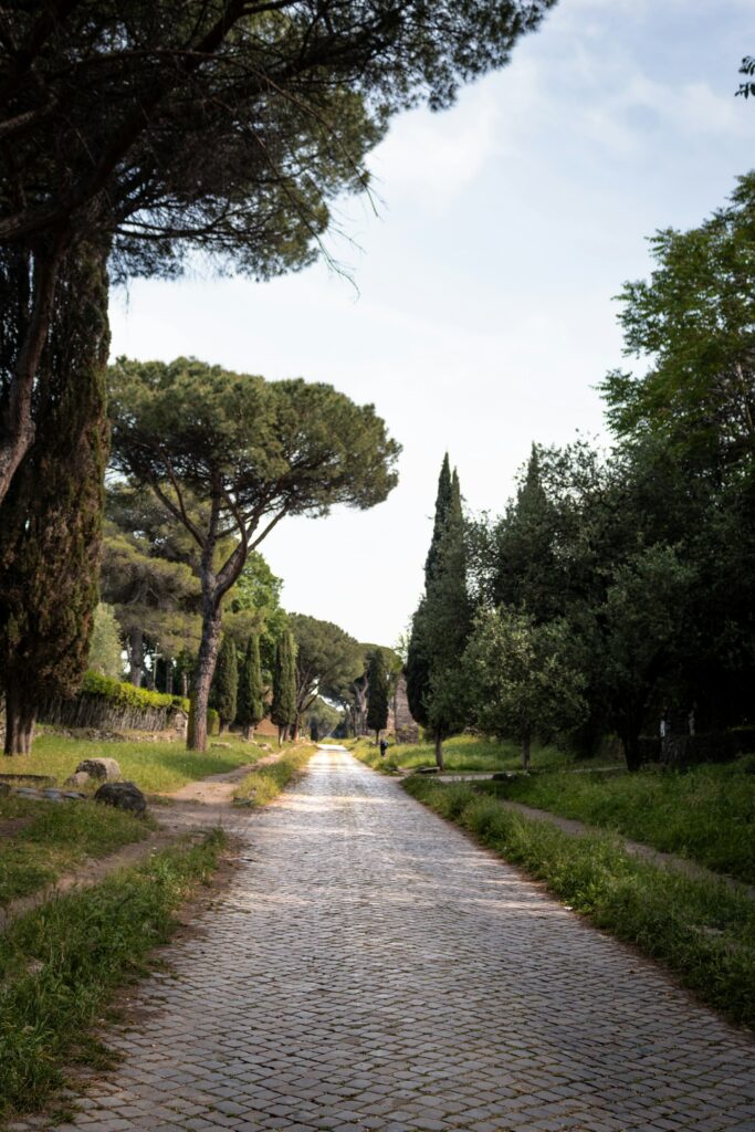 Ancient stone-paved section of the Appian Way in Rome lined with pines and cypresses