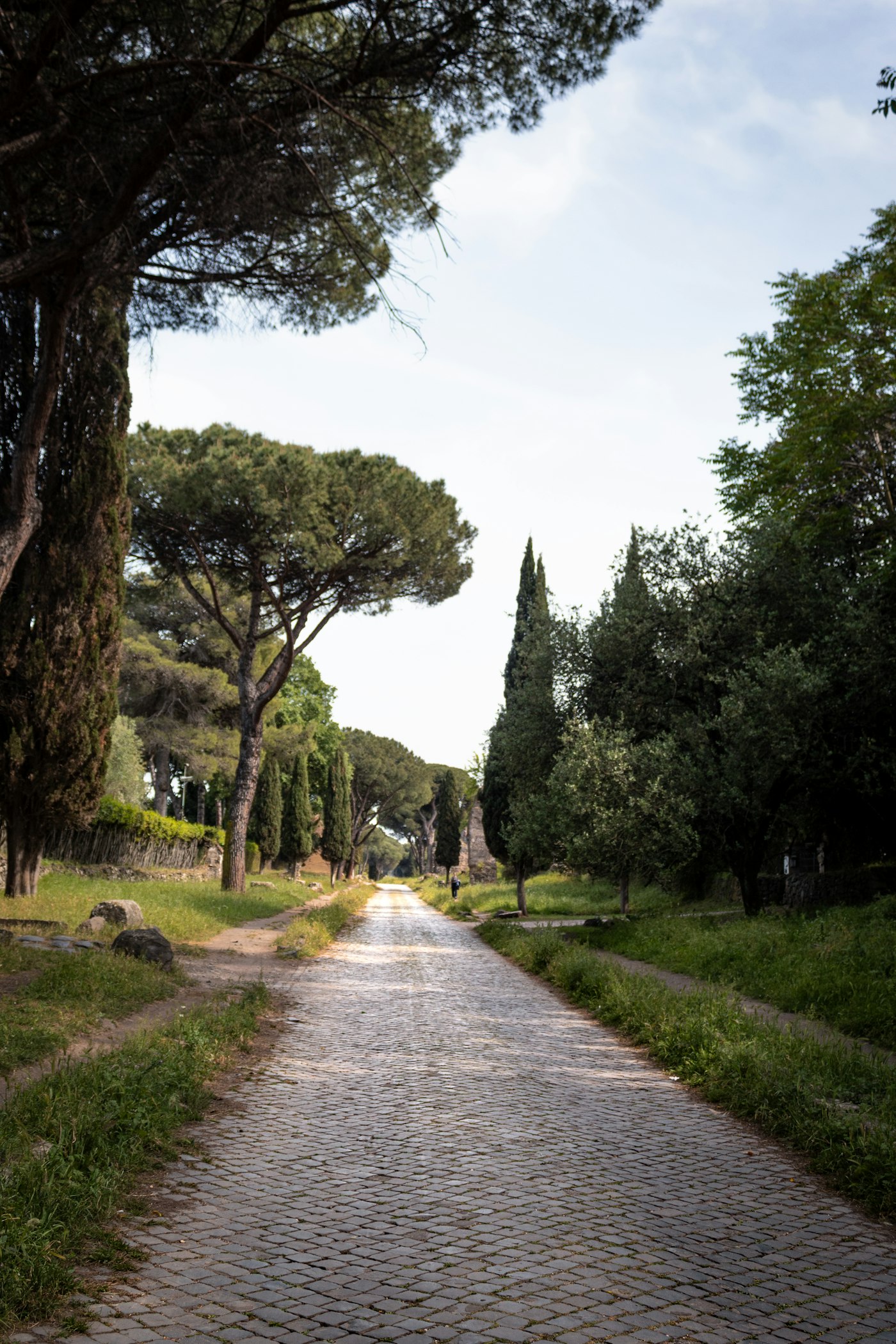 Ancient stone-paved section of the Appian Way in Rome lined with pines and cypresses