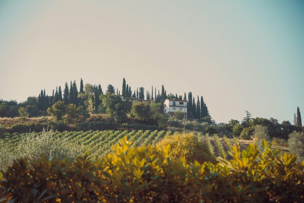 House on a hill above vineyards and cypress trees in Tuscany